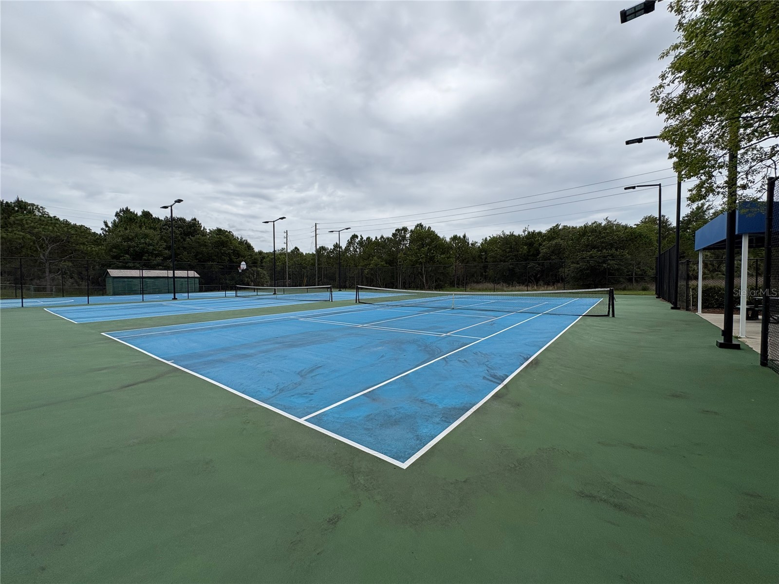 10010 Gannon Lane Orlando FL 32821 O6409698 image46