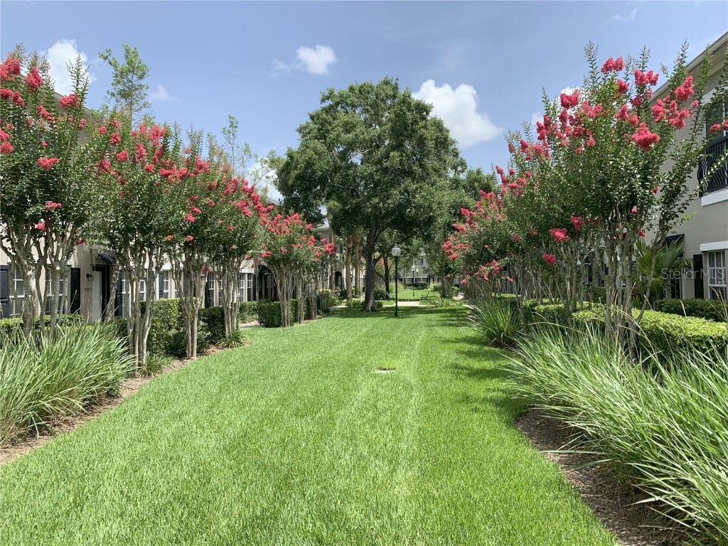 10010 Old Haven Way Tampa FL 33624 TB8424579 image2