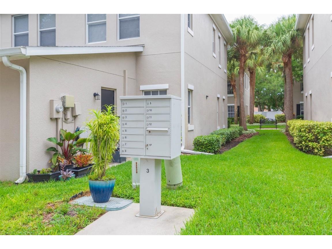 10010 Old Haven Way Tampa FL 33624 TB8424579 image33