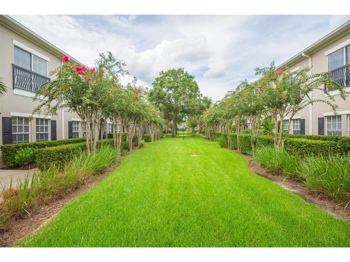 10010 Old Haven Way Tampa FL 33624 TB8424579 image34