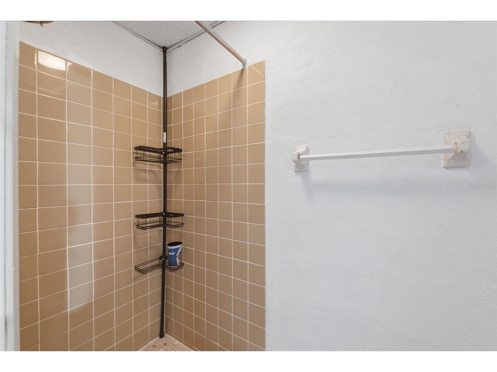 10011 Cherry Creek Lane Port Richey FL 34668 W7883993 image16