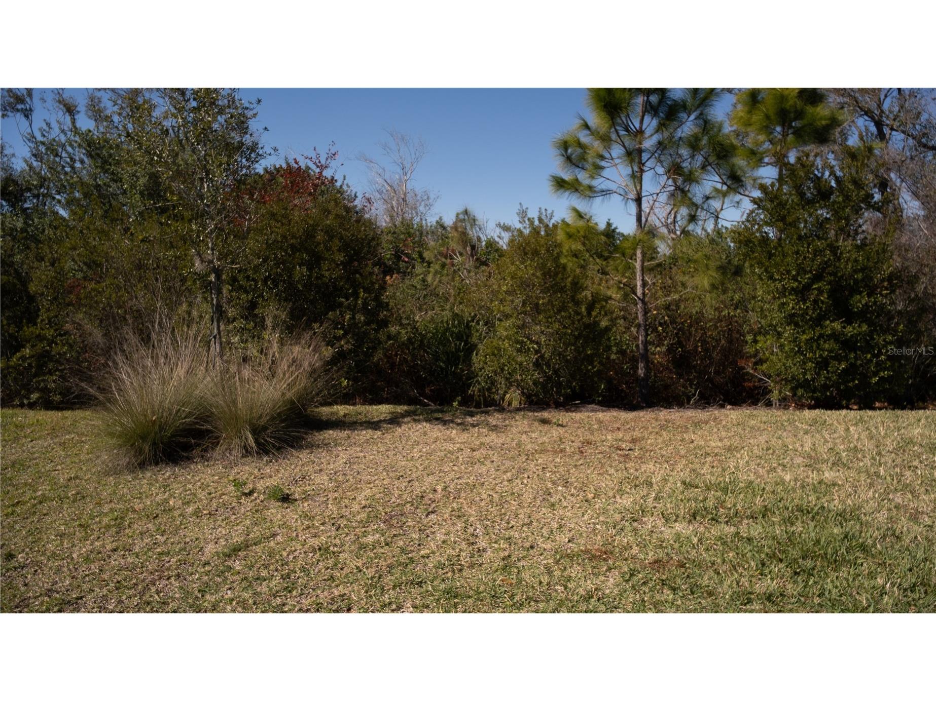 10011 Longmeadow Avenue Parrish FL 34219 A4657825 image39