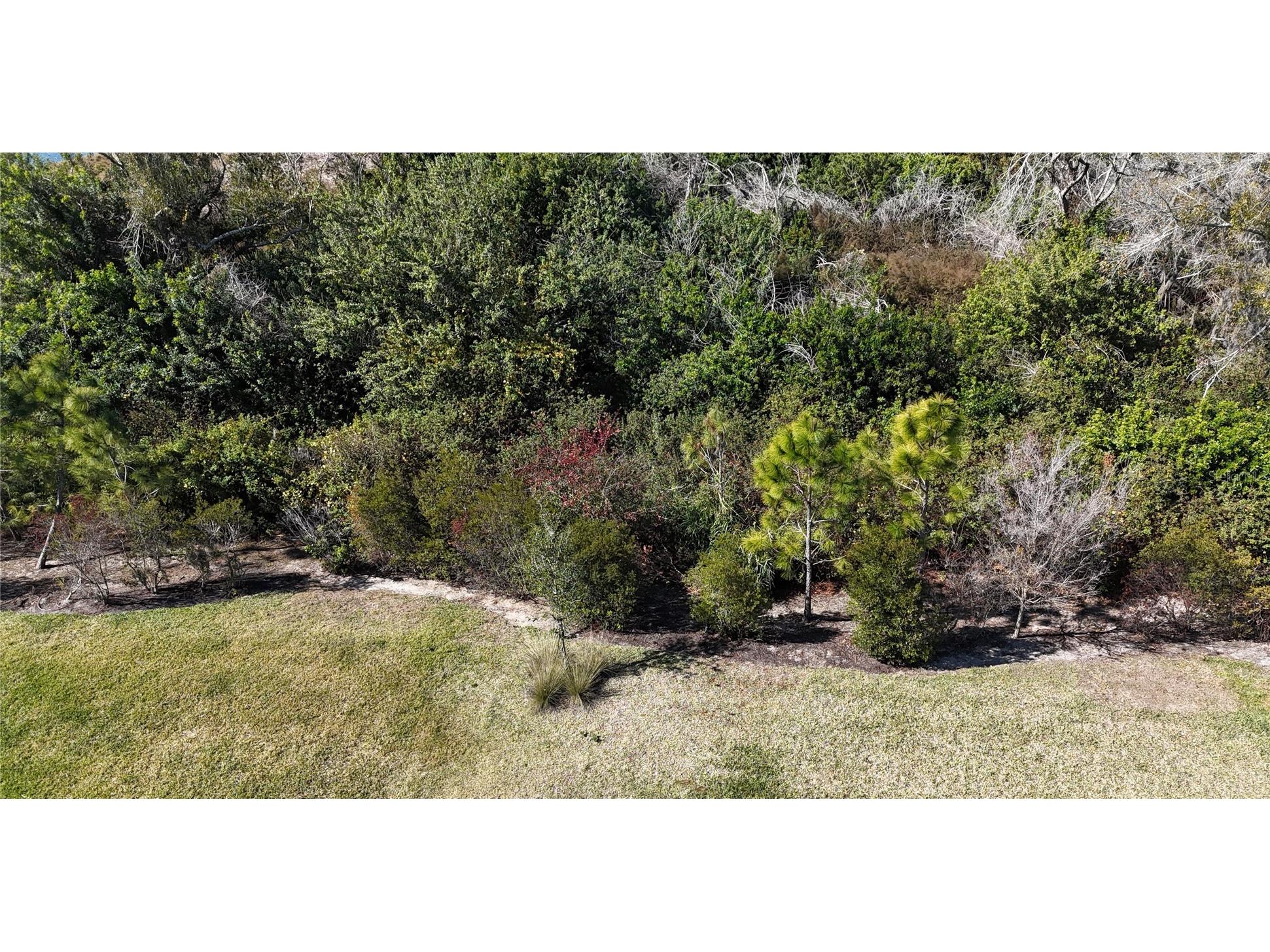 10011 Longmeadow Avenue Parrish FL 34219 A4657825 image42