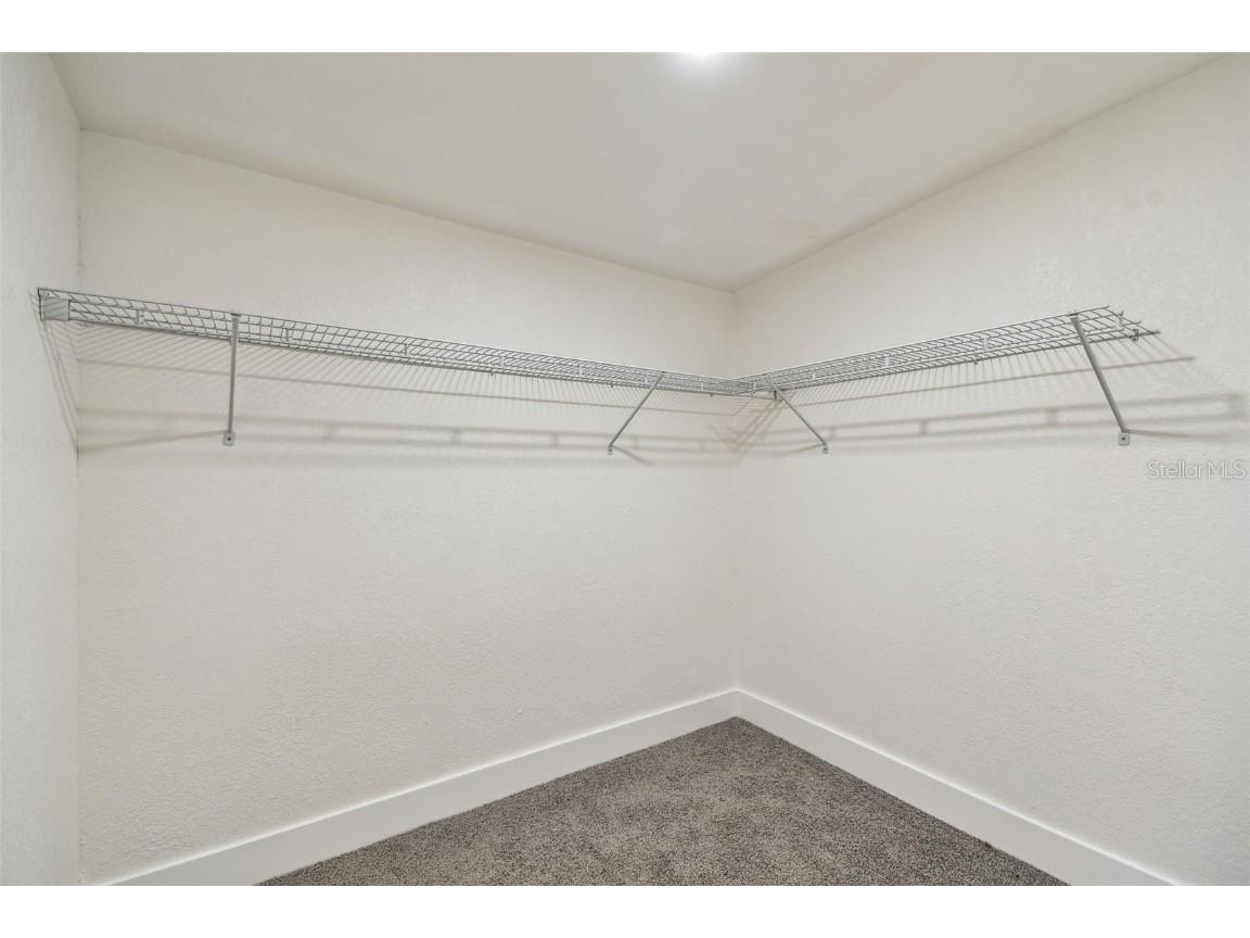 10011 N Annette Avenue Tampa FL 33612 TB8380935 image31