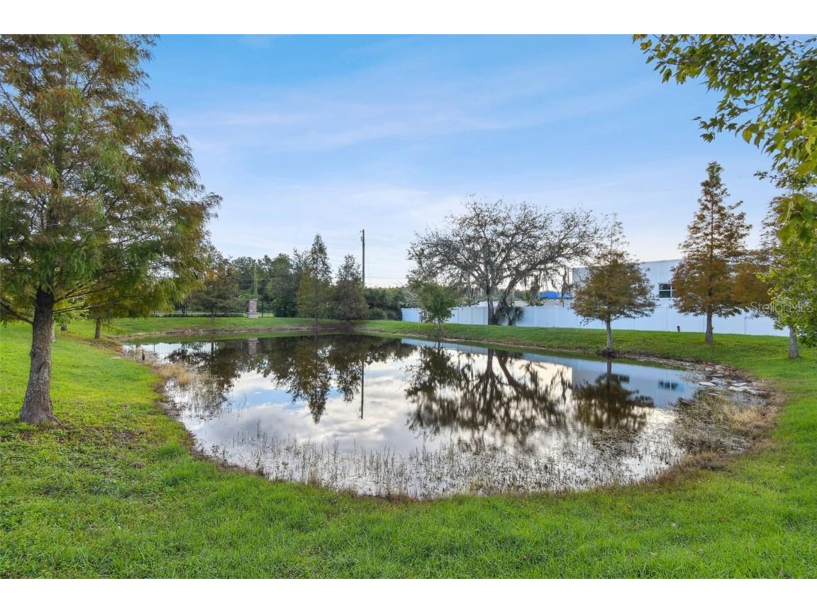 10012 Corso Milano Drive Tampa FL 33625 TB8441980 image59