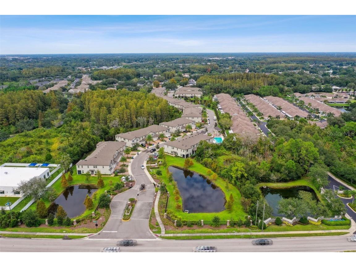 10012 Corso Milano Drive Tampa FL 33625 TB8441980 image64