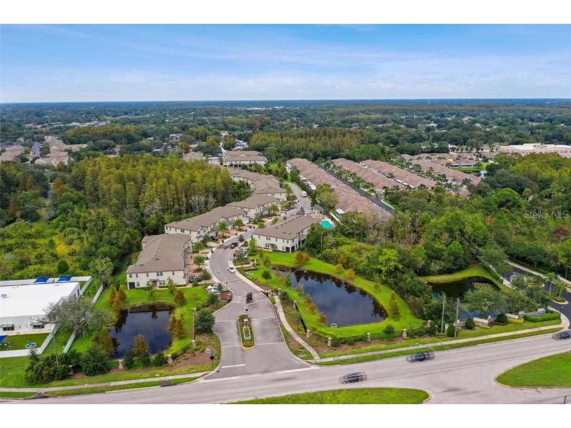 10012 Corso Milano Drive Tampa FL 33625 TB8441980 image65