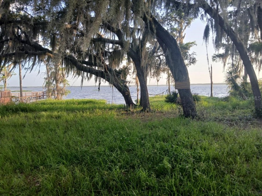 10012 Lake Louisa Road Clermont FL 34711 - LAKE LOUISA O6315013 image16