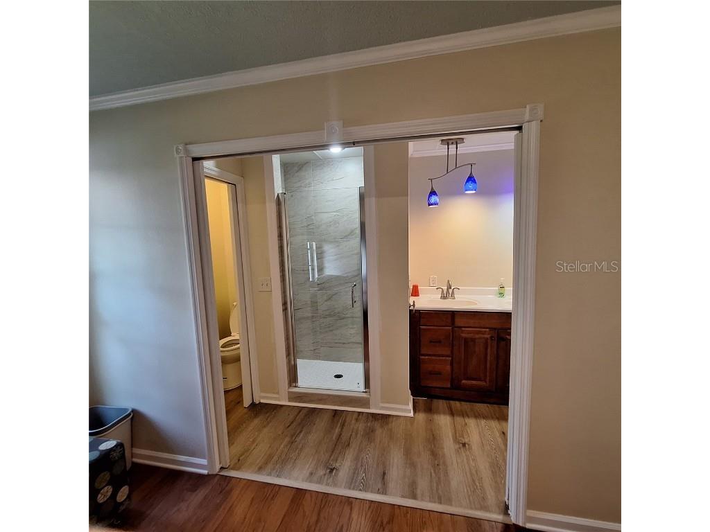 10012 Lake Louisa Road Clermont FL 34711 - LAKE LOUISA O6315013 image7