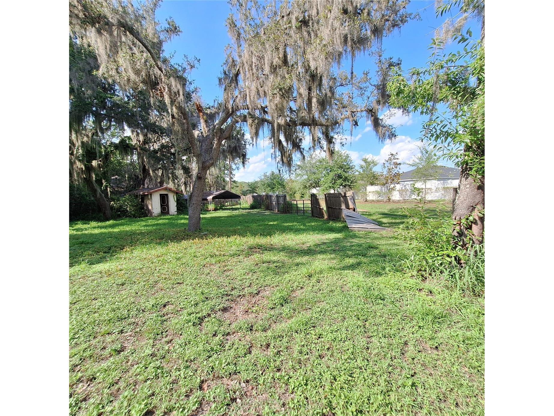 10012 Lake Louisa Road Clermont FL 34711 - LAKE LOUISA O6426926 image18