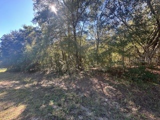 10012 N Athenia Drive Citrus Springs FL 34434 W7880210 image1