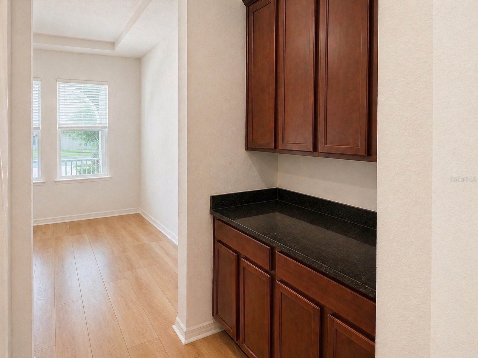 10013 Austrina Oak Loop Winter Garden FL 34787 O6402442 image10