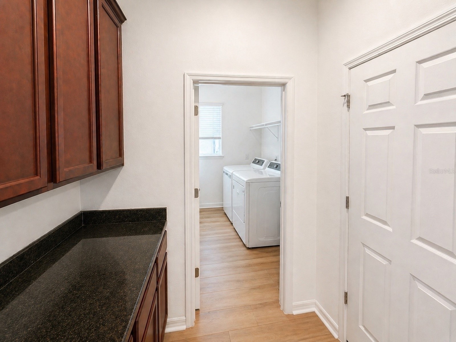 10013 Austrina Oak Loop Winter Garden FL 34787 O6402442 image11