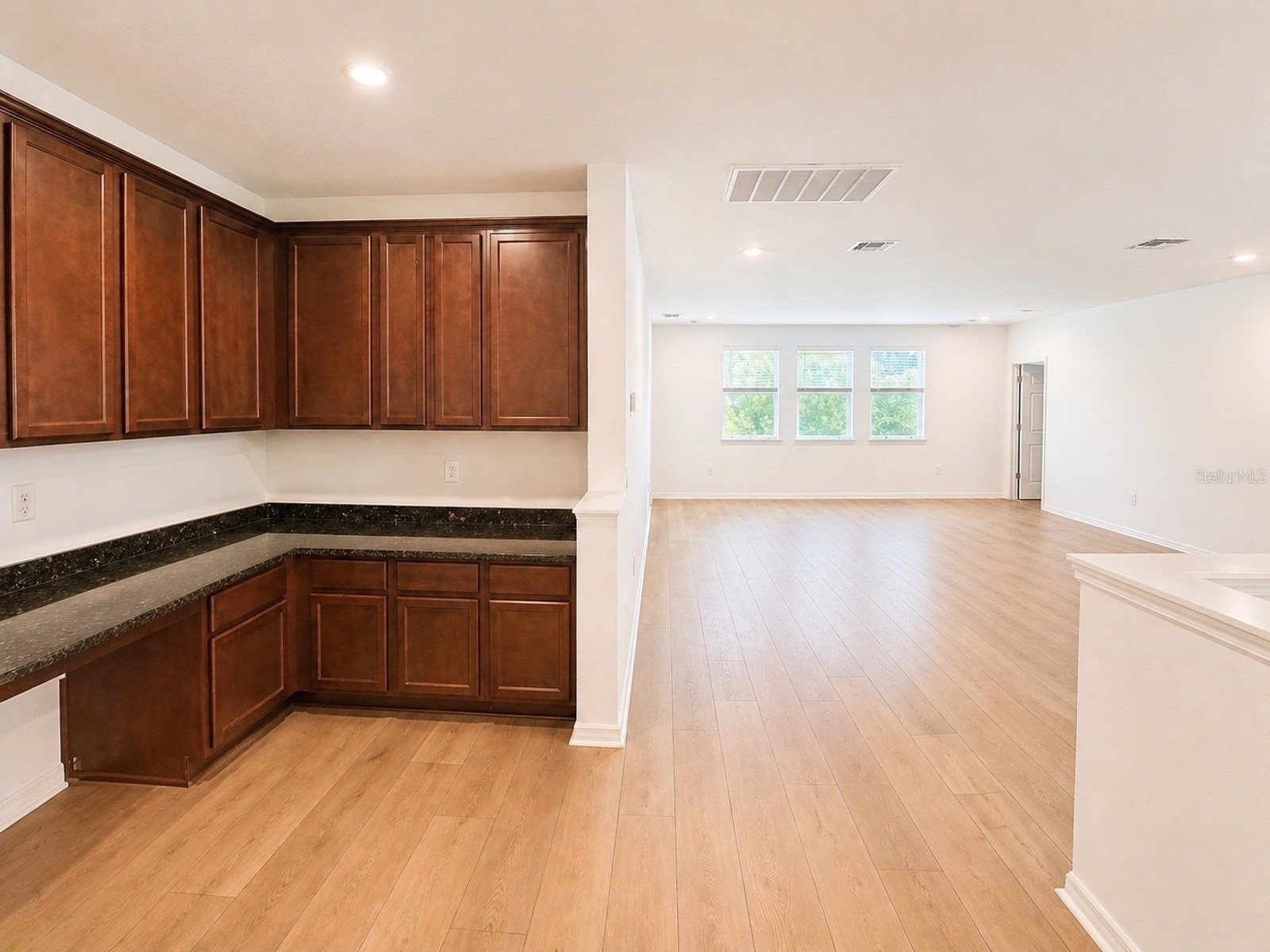 10013 Austrina Oak Loop Winter Garden FL 34787 O6402442 image13