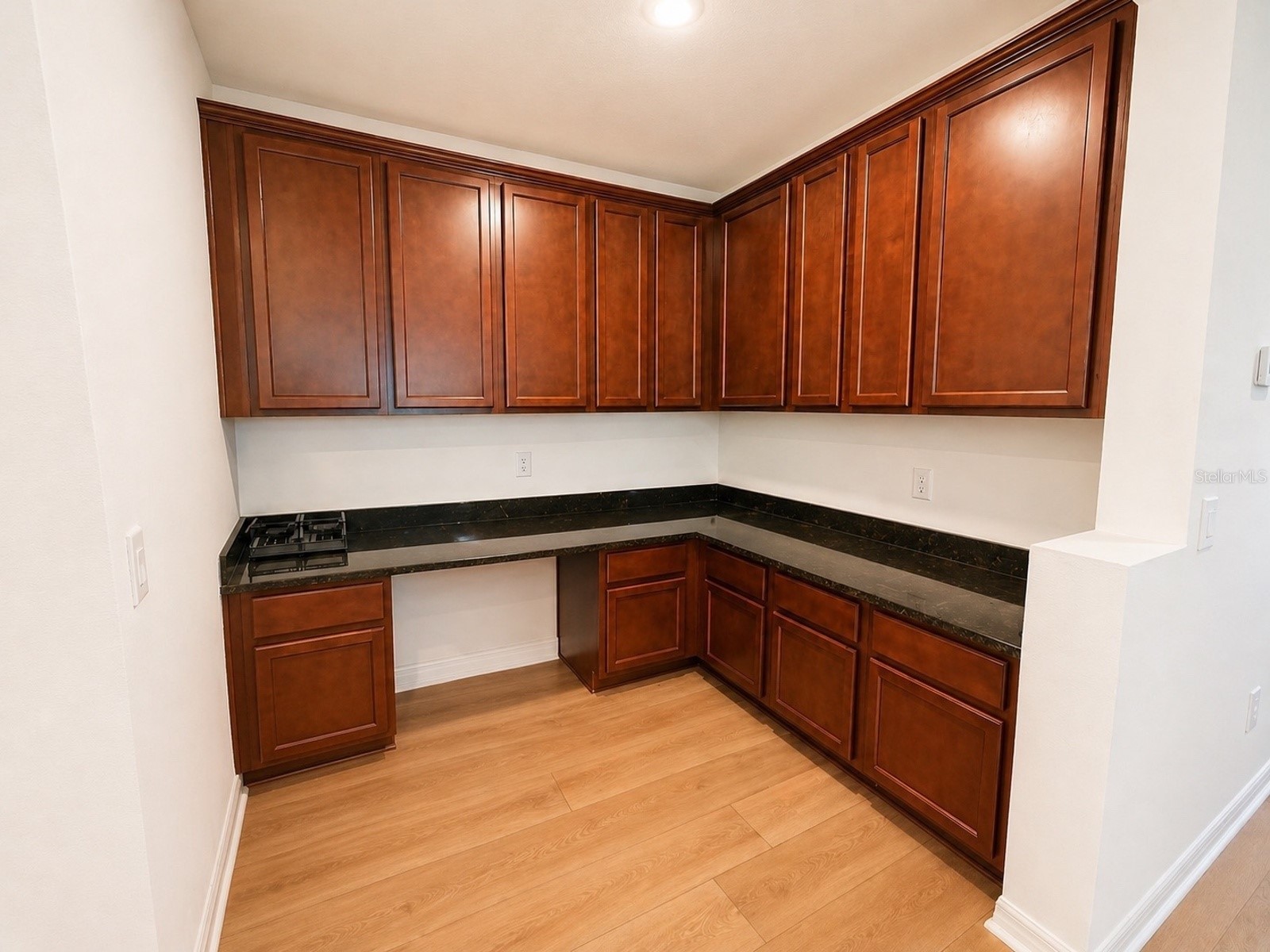 10013 Austrina Oak Loop Winter Garden FL 34787 O6402442 image14