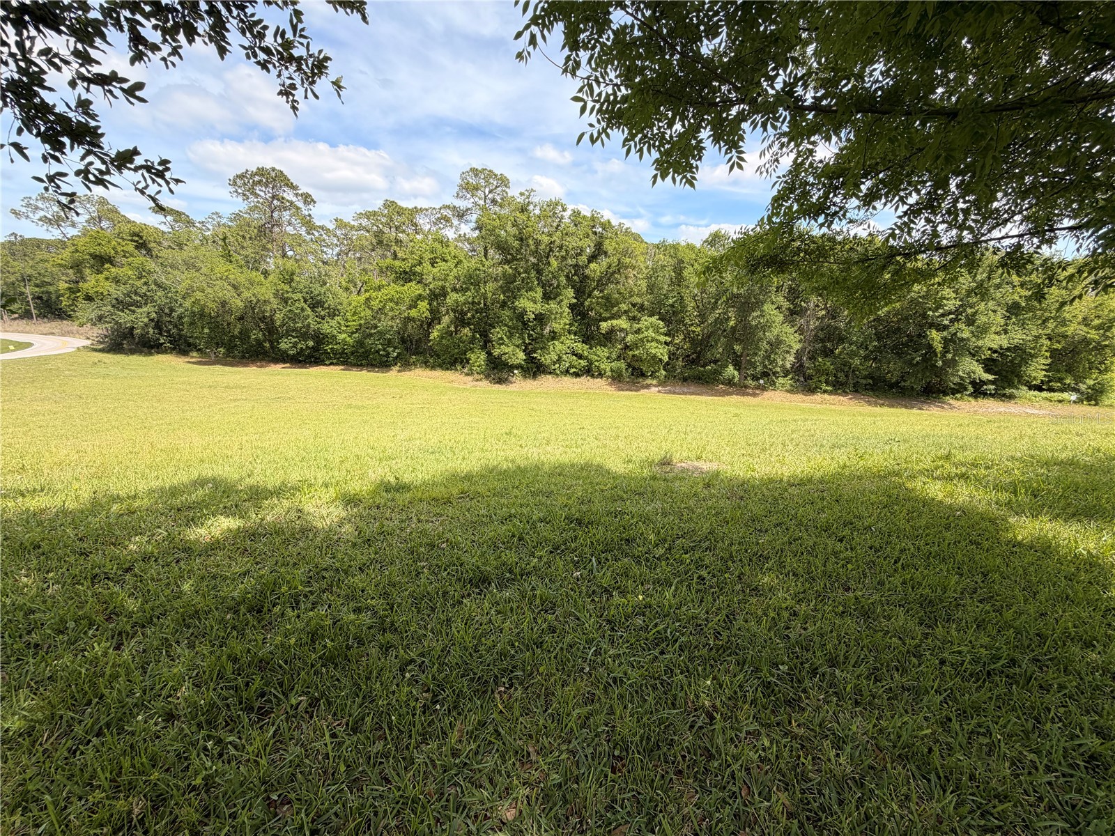 10013 Austrina Oak Loop Winter Garden FL 34787 O6402442 image30