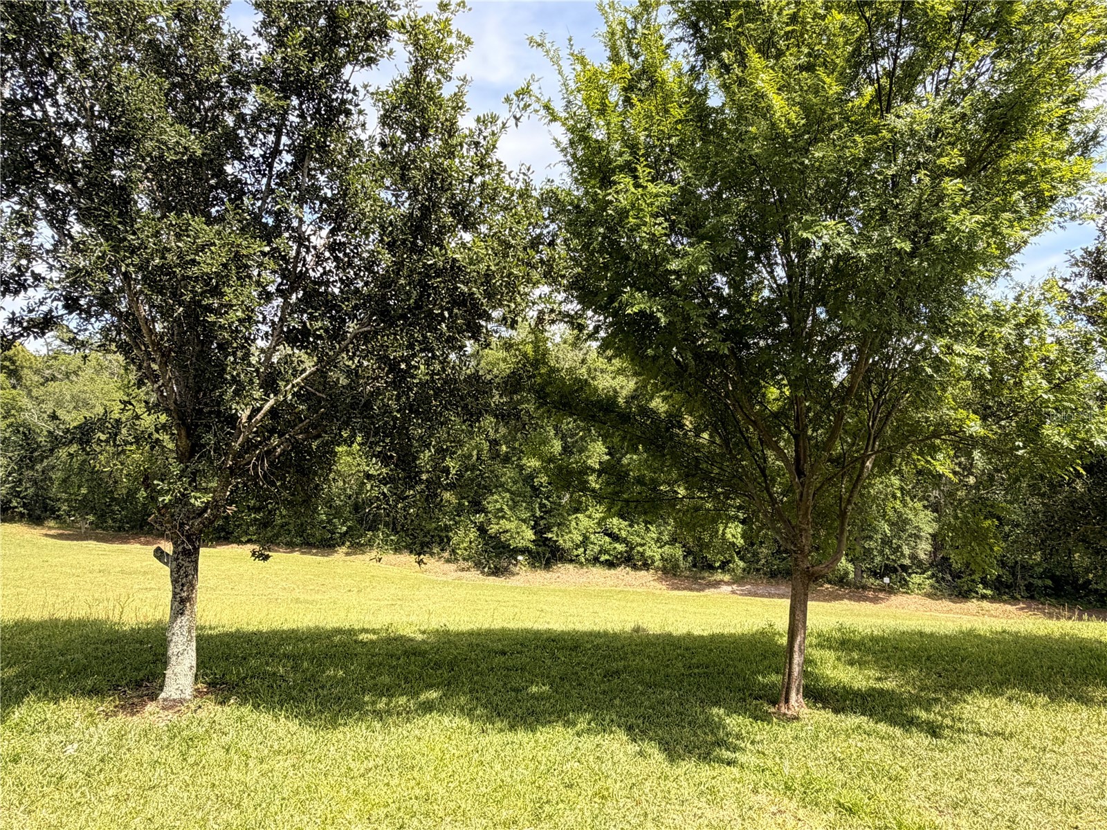 10013 Austrina Oak Loop Winter Garden FL 34787 O6402442 image31