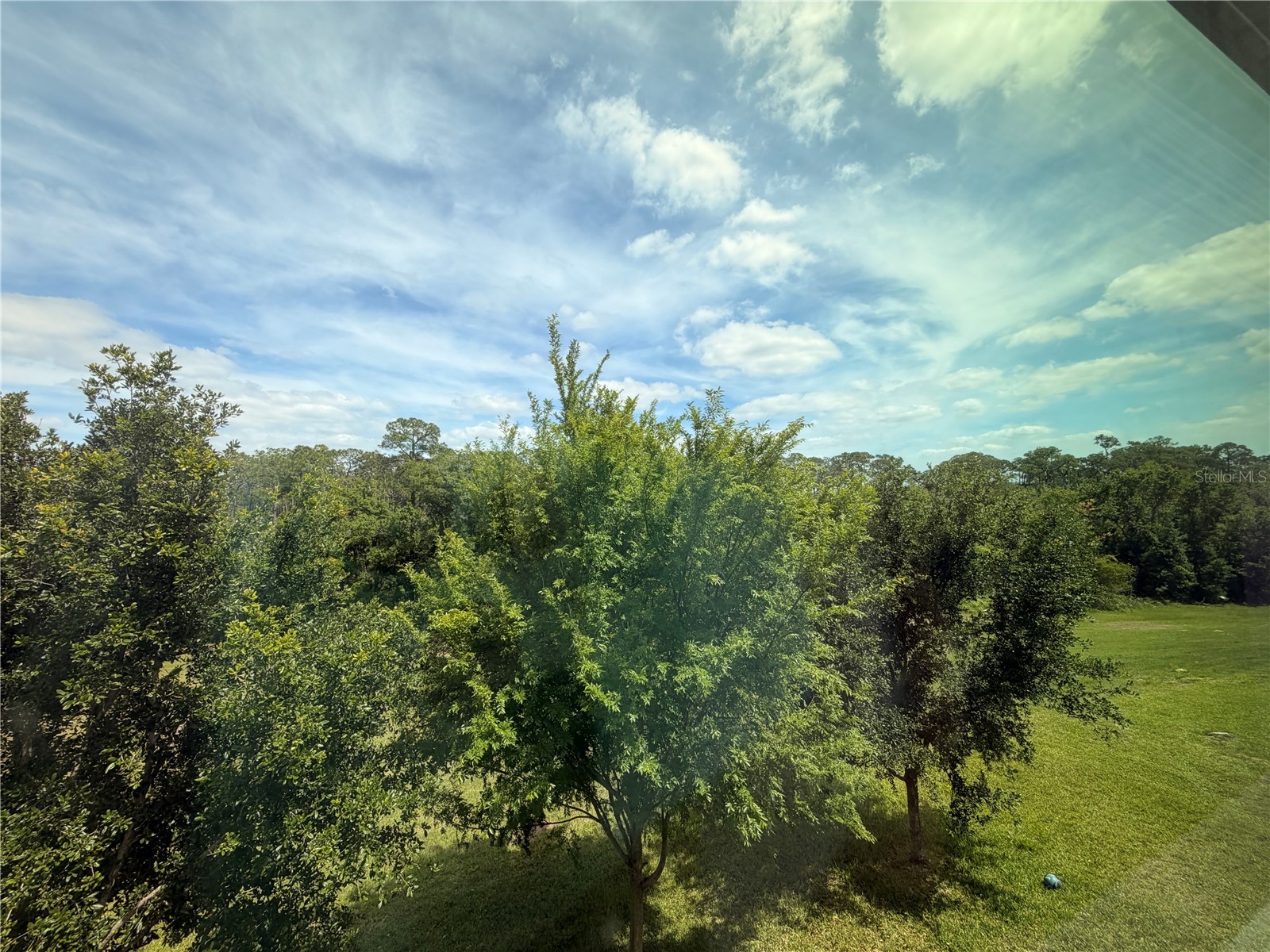 10013 Austrina Oak Loop Winter Garden FL 34787 O6402442 image32