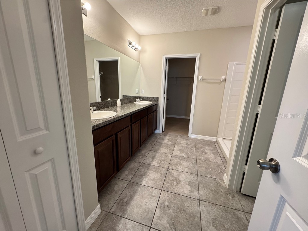 10013 Crested Fringe Drive Riverview FL 33578 TB8433139 image14