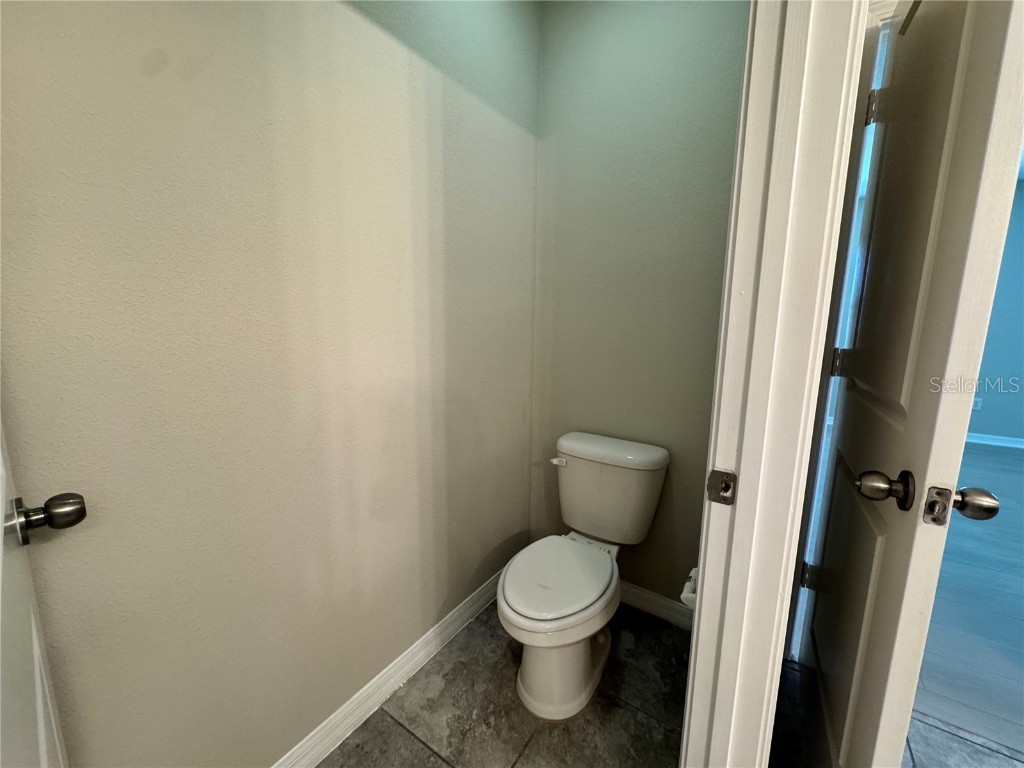 10013 Crested Fringe Drive Riverview FL 33578 TB8433139 image15