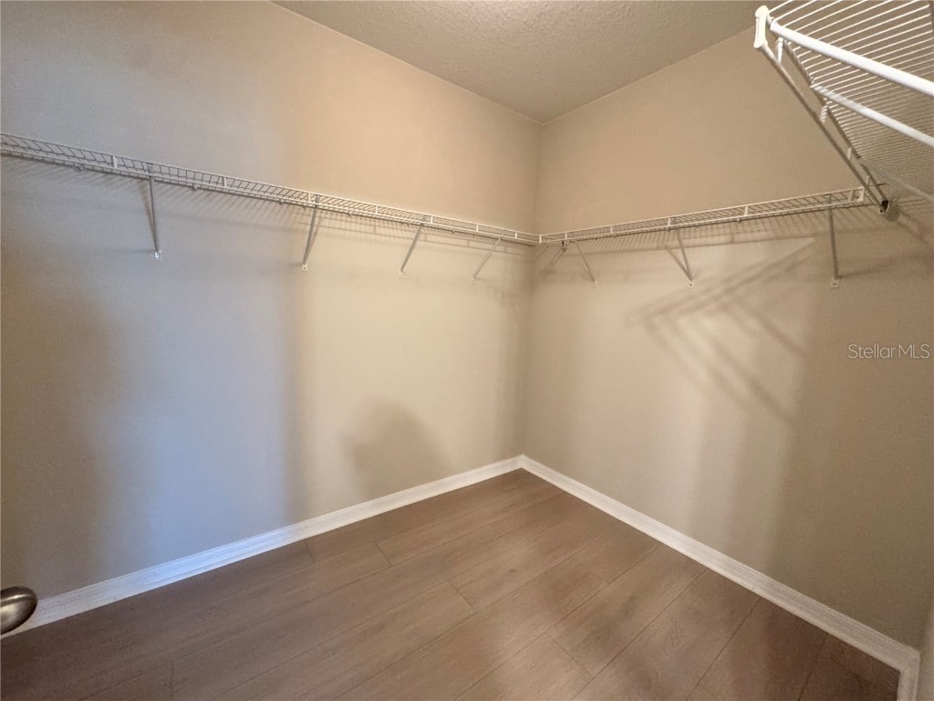 10013 Crested Fringe Drive Riverview FL 33578 TB8433139 image16