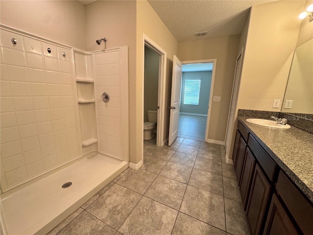 10013 Crested Fringe Drive Riverview FL 33578 TB8433139 image17