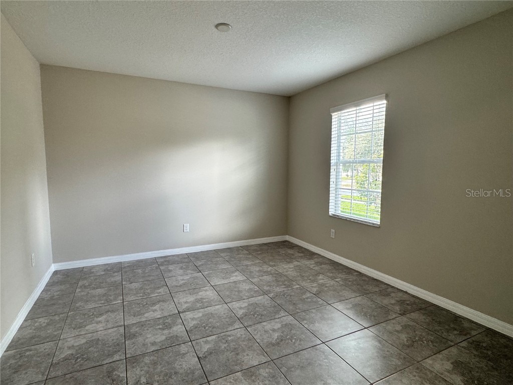 10013 Crested Fringe Drive Riverview FL 33578 TB8433139 image19