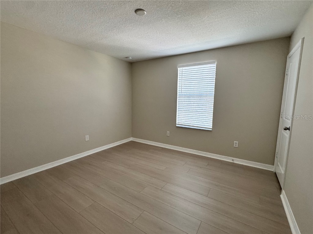 10013 Crested Fringe Drive Riverview FL 33578 TB8433139 image24