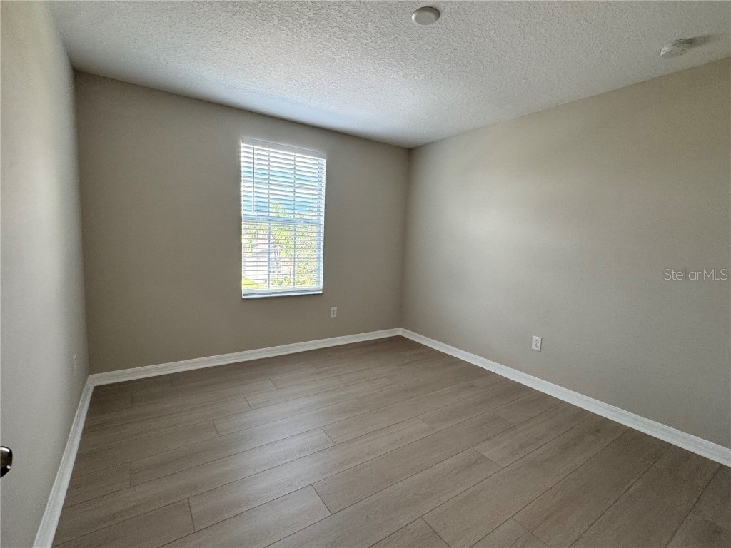 10013 Crested Fringe Drive Riverview FL 33578 TB8433139 image26