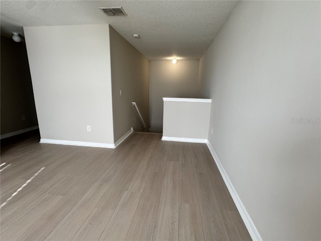 10013 Crested Fringe Drive Riverview FL 33578 TB8433139 image28