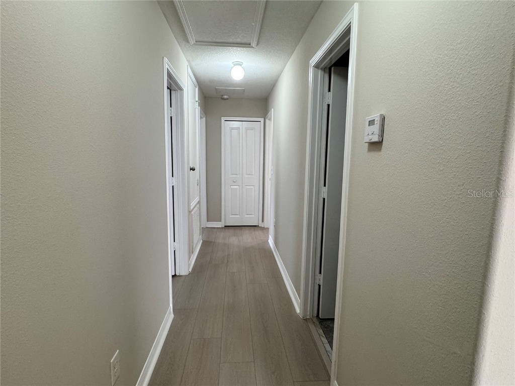 10013 Crested Fringe Drive Riverview FL 33578 TB8433139 image30