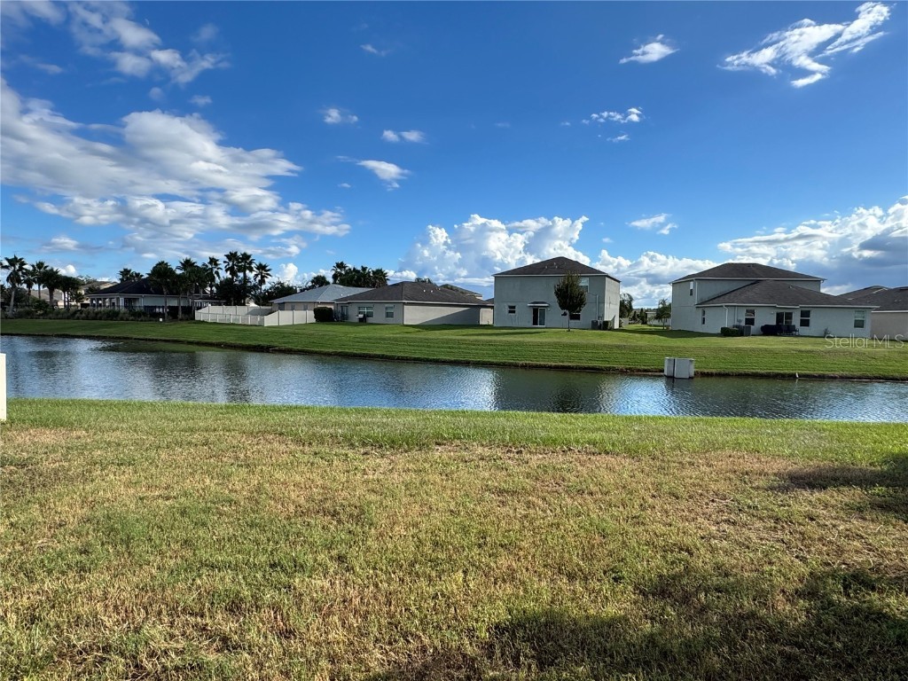 10013 Crested Fringe Drive Riverview FL 33578 TB8433139 image34