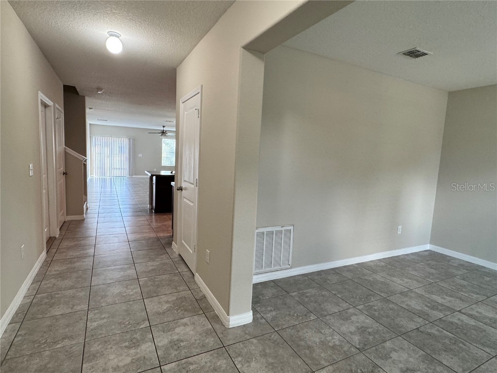 10013 Crested Fringe Drive Riverview FL 33578 TB8433139 image6