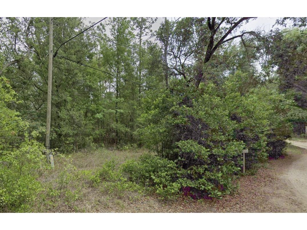 10013 N Holyoak Terrace Dunnellon FL 34433 TB8504763 image1