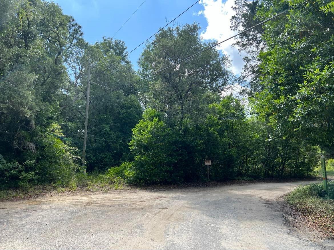 10013 N Holyoak Terrace Dunnellon FL 34433 TB8504763 image10