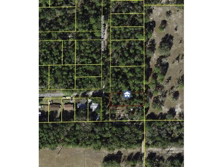 10013 N Holyoak Terrace Dunnellon FL 34433 TB8504763 image11