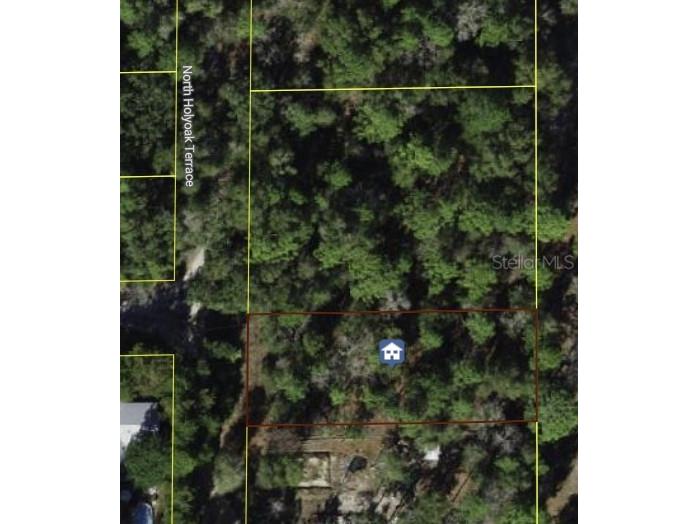 10013 N Holyoak Terrace Dunnellon FL 34433 TB8504763 image12