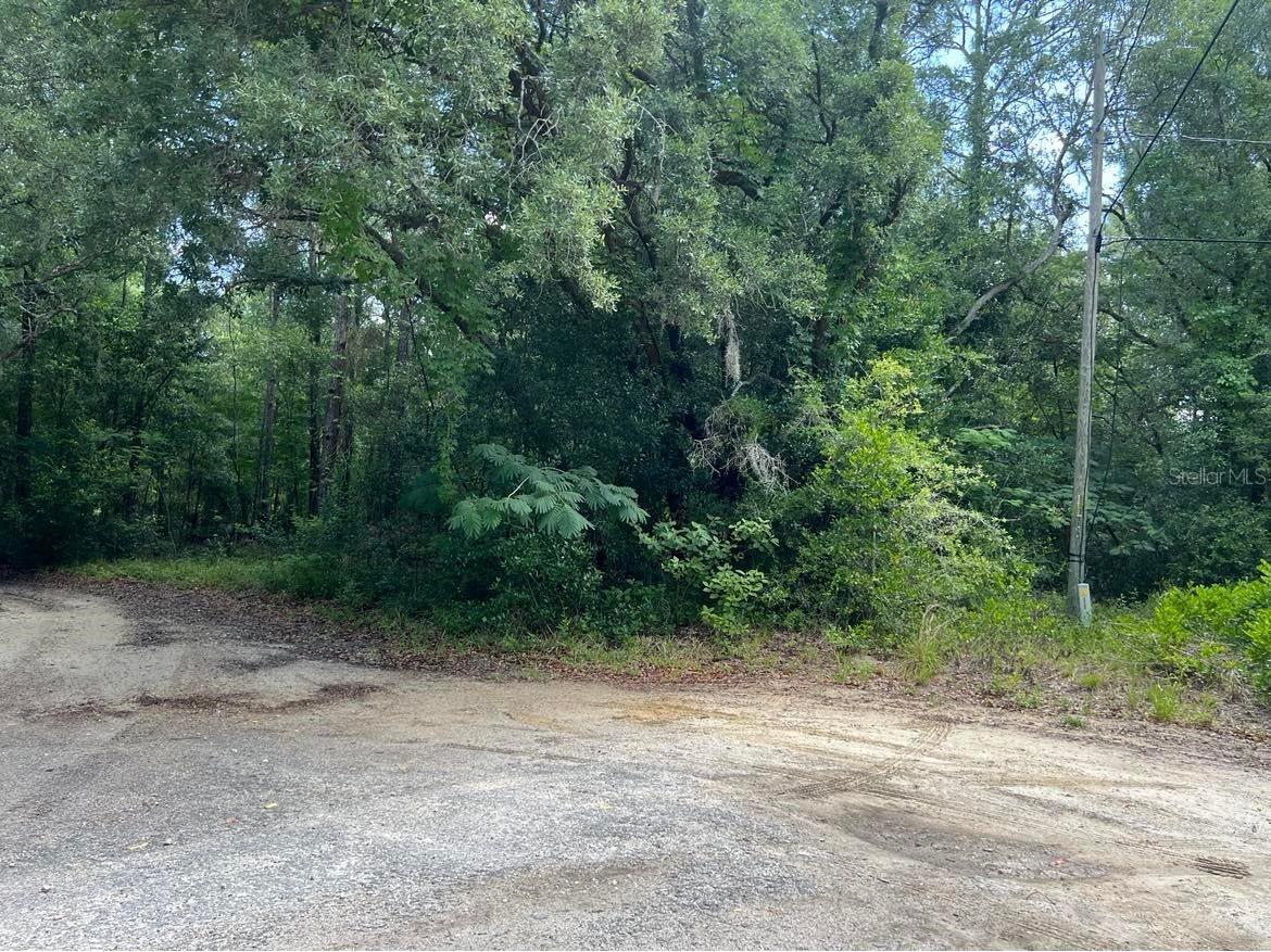 10013 N Holyoak Terrace Dunnellon FL 34433 TB8504763 image4