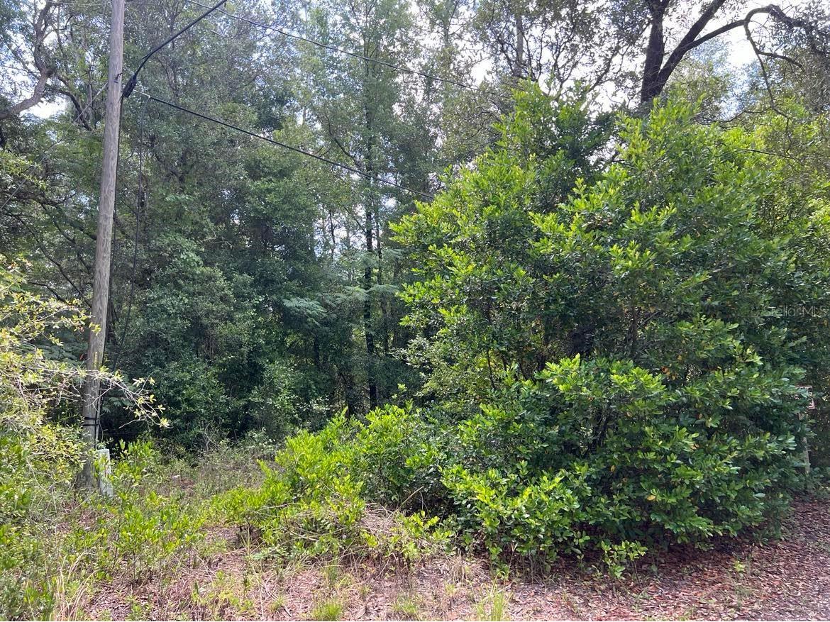 10013 N Holyoak Terrace Dunnellon FL 34433 TB8504763 image5
