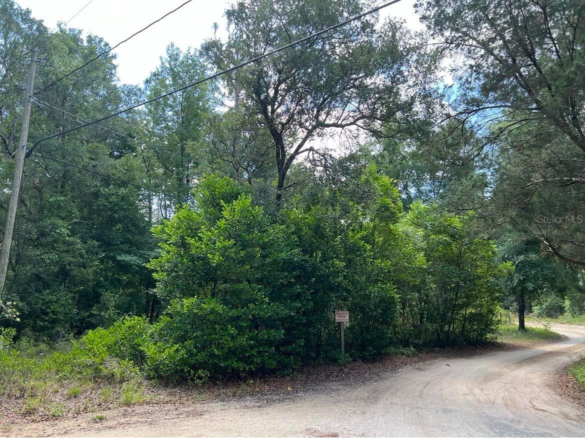 10013 N Holyoak Terrace Dunnellon FL 34433 TB8504763 image6