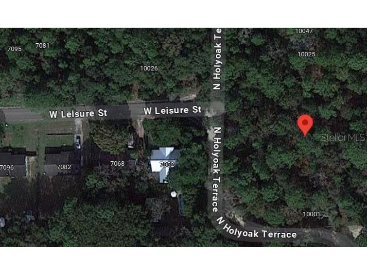10013 N Holyoak Terrace Dunnellon FL 34433 TB8504763 image9
