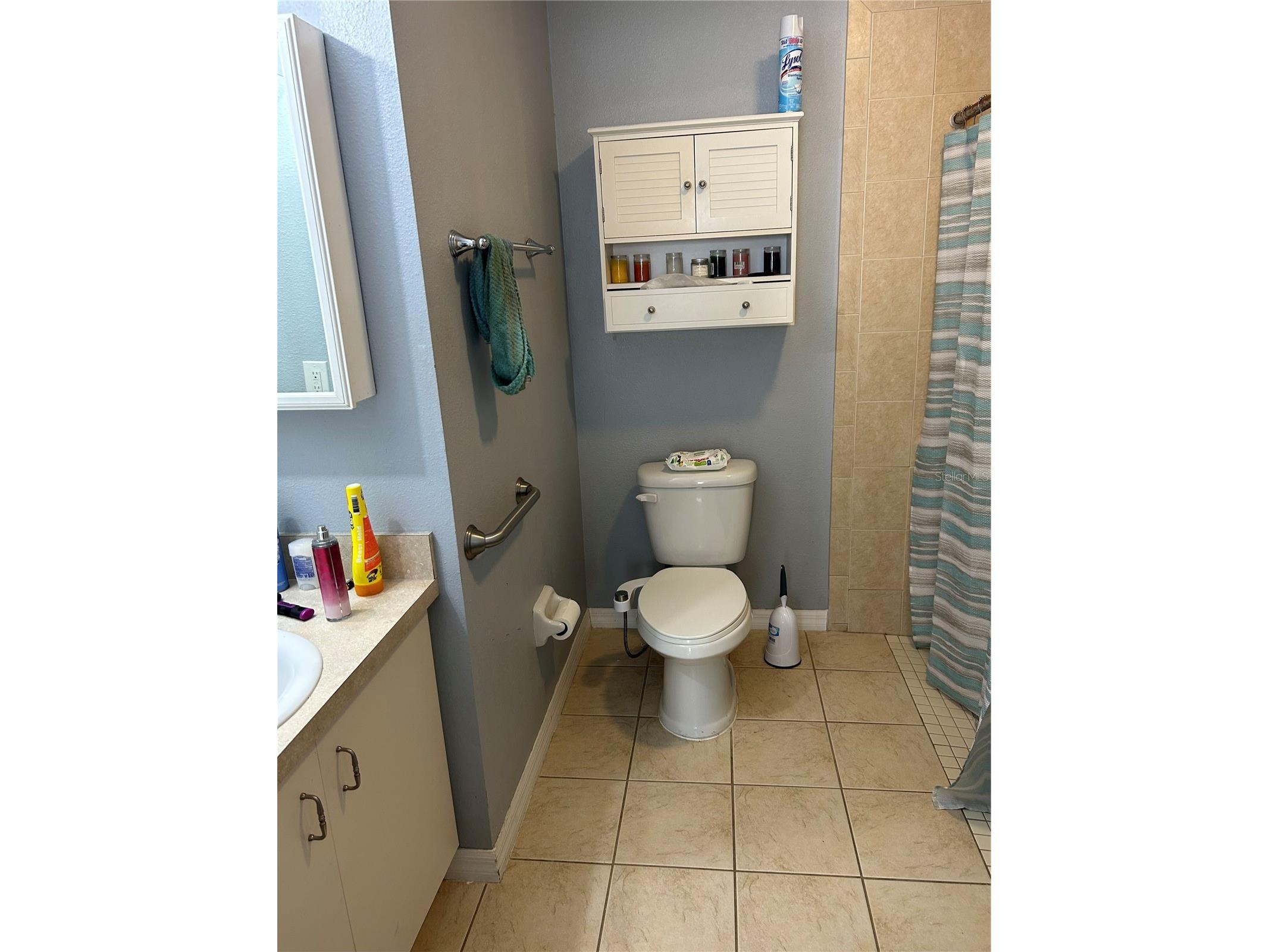 10013 Oslin Street Tampa FL 33615 TB8509482 image10