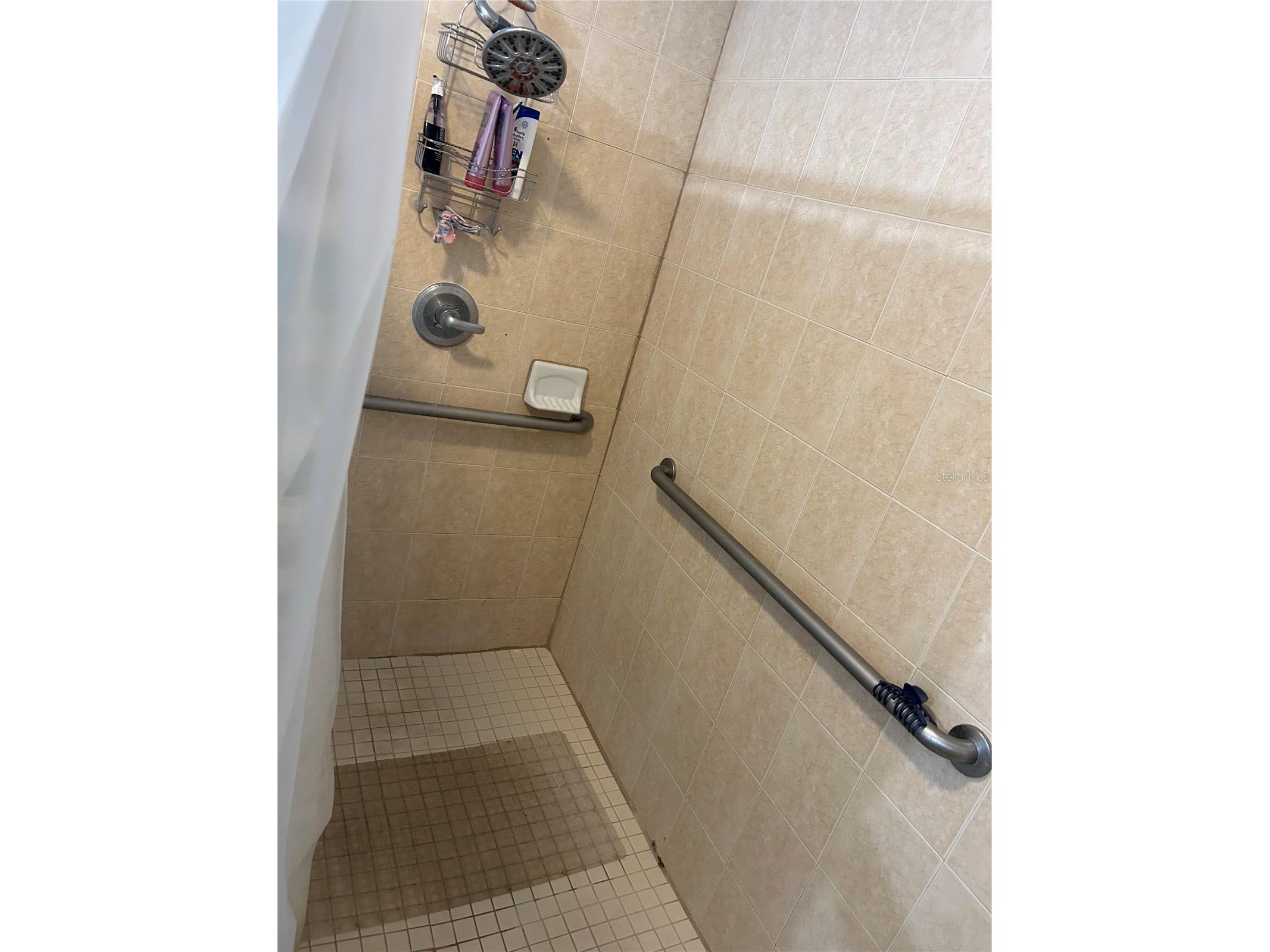 10013 Oslin Street Tampa FL 33615 TB8509482 image12