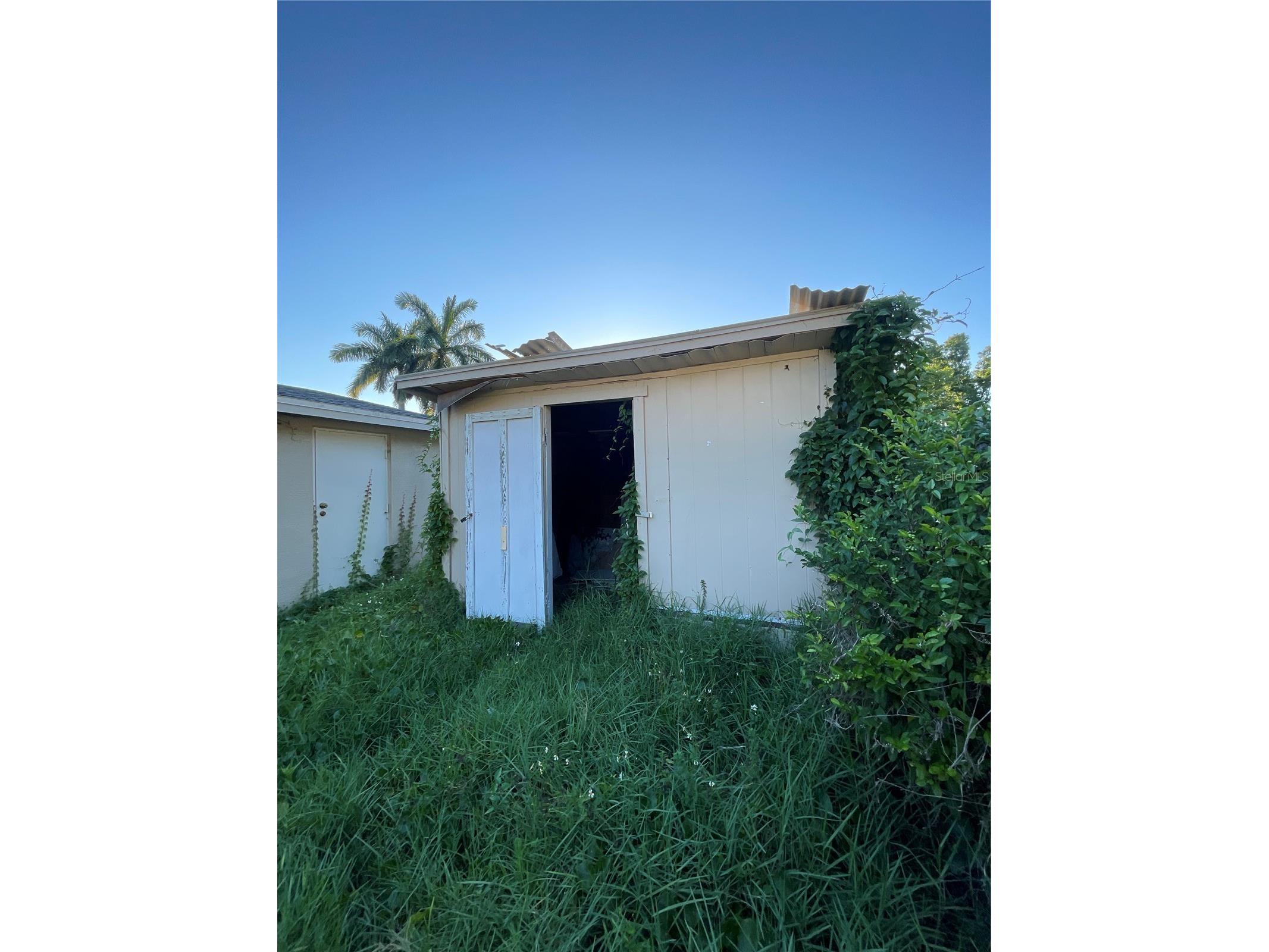 10013 Oslin Street Tampa FL 33615 TB8509482 image48
