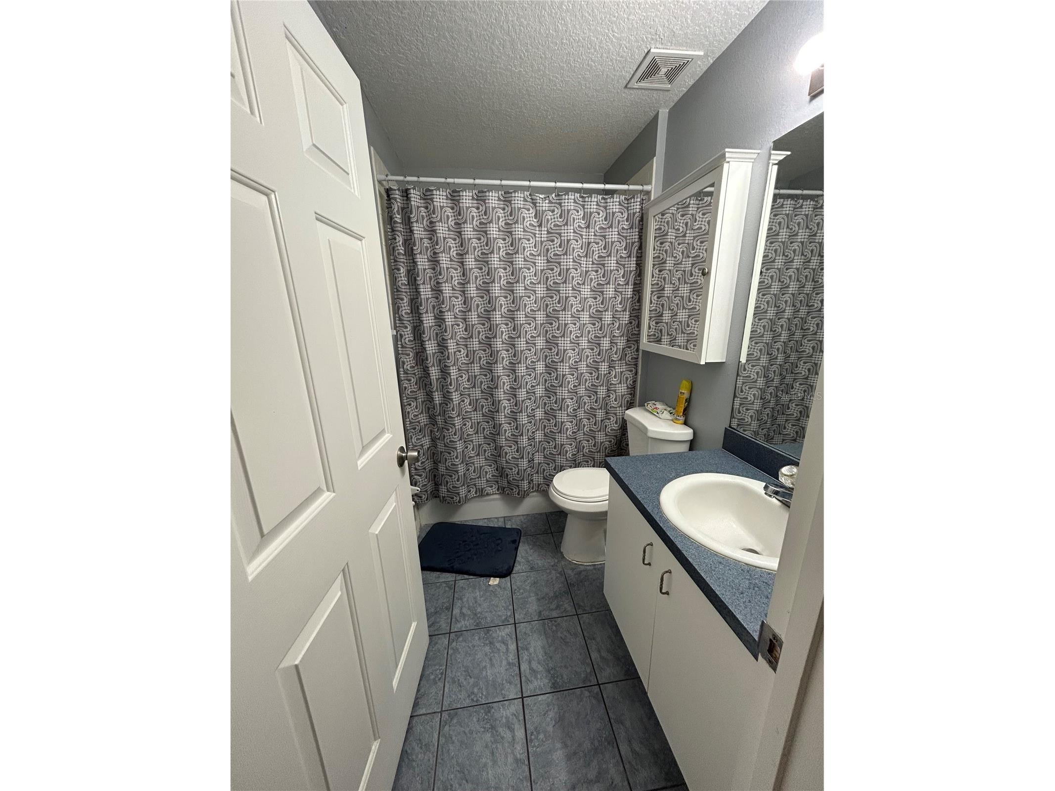 10013 Oslin Street Tampa FL 33615 TB8509482 image5