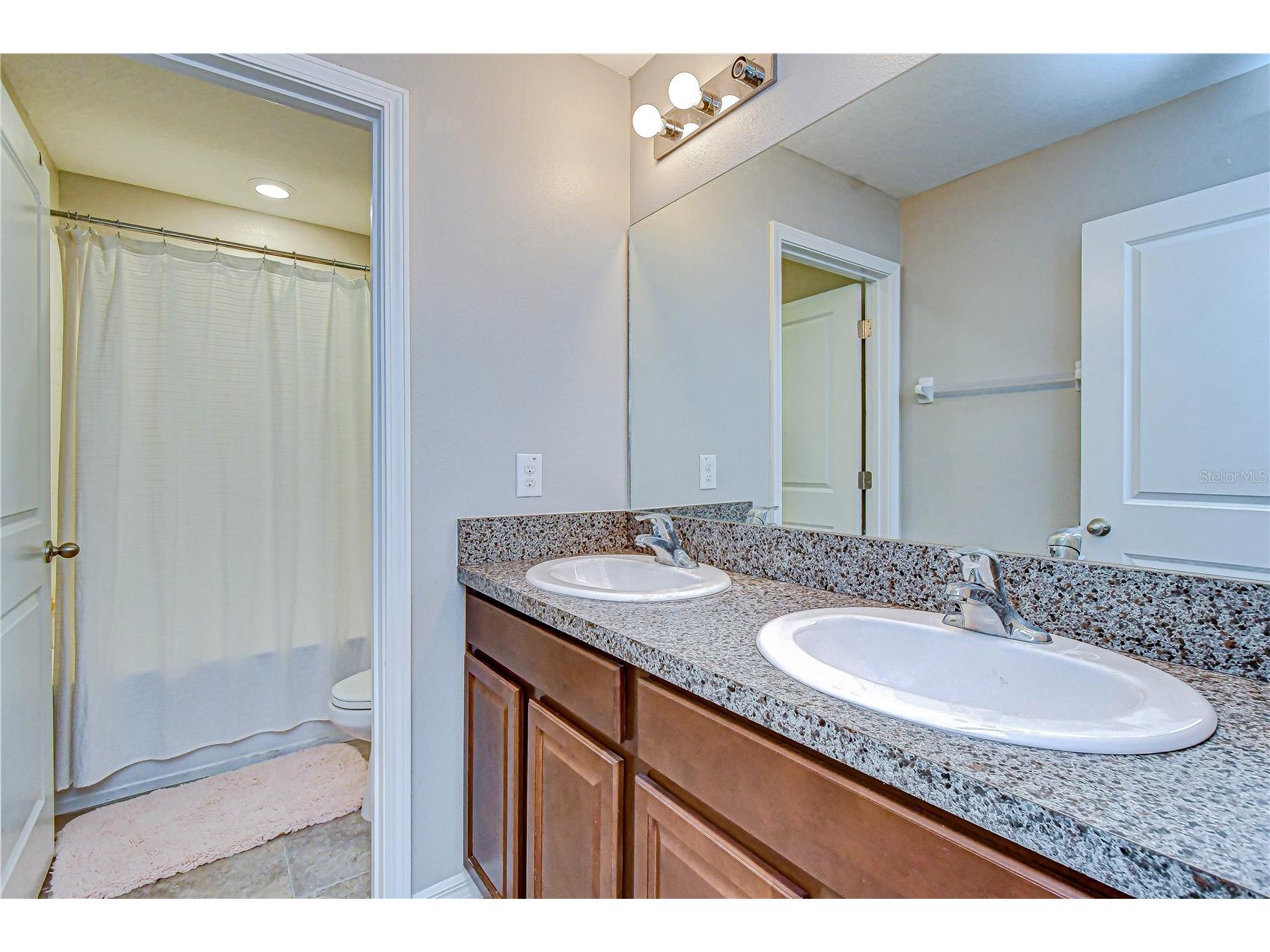 10013 Rosemary Leaf Lane Riverview FL 33578 TB8466931 image25