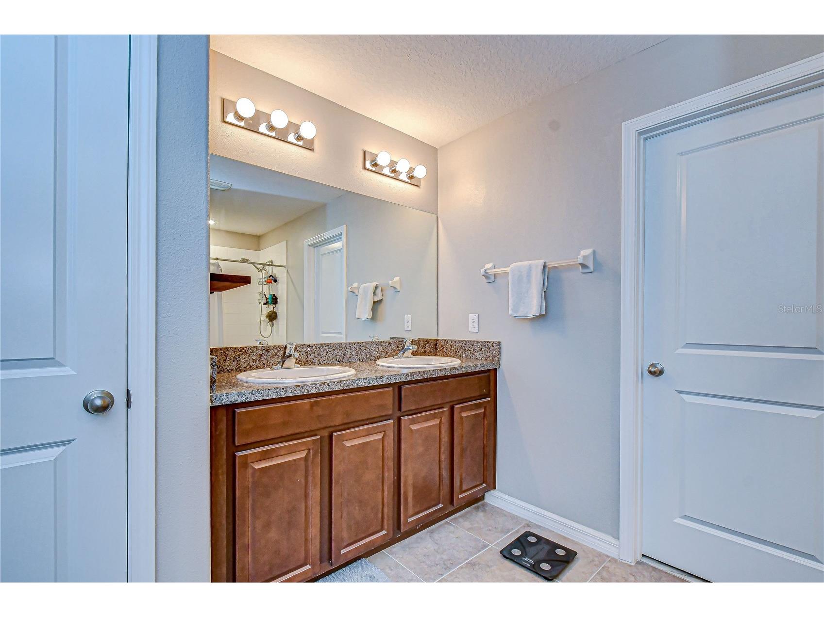 10013 Rosemary Leaf Lane Riverview FL 33578 TB8466931 image28