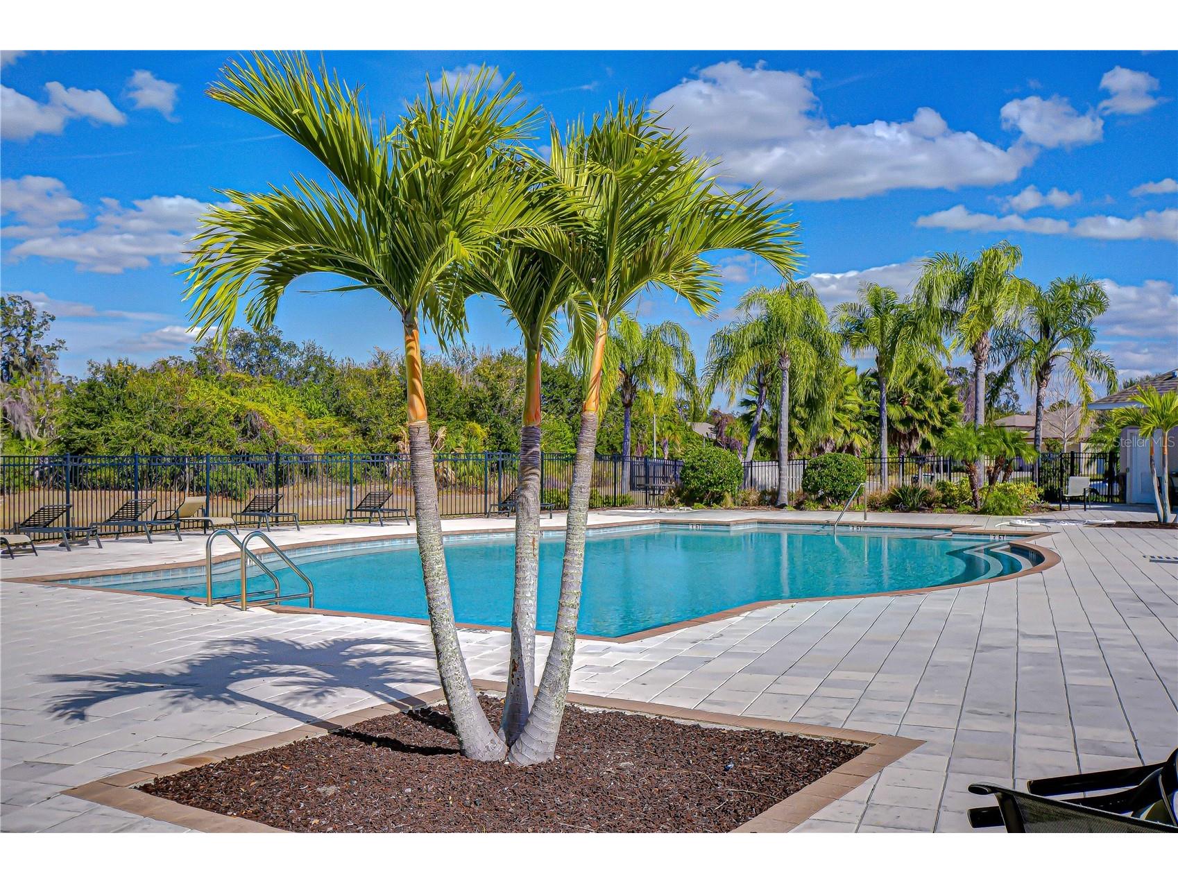 10013 Rosemary Leaf Lane Riverview FL 33578 TB8466931 image3