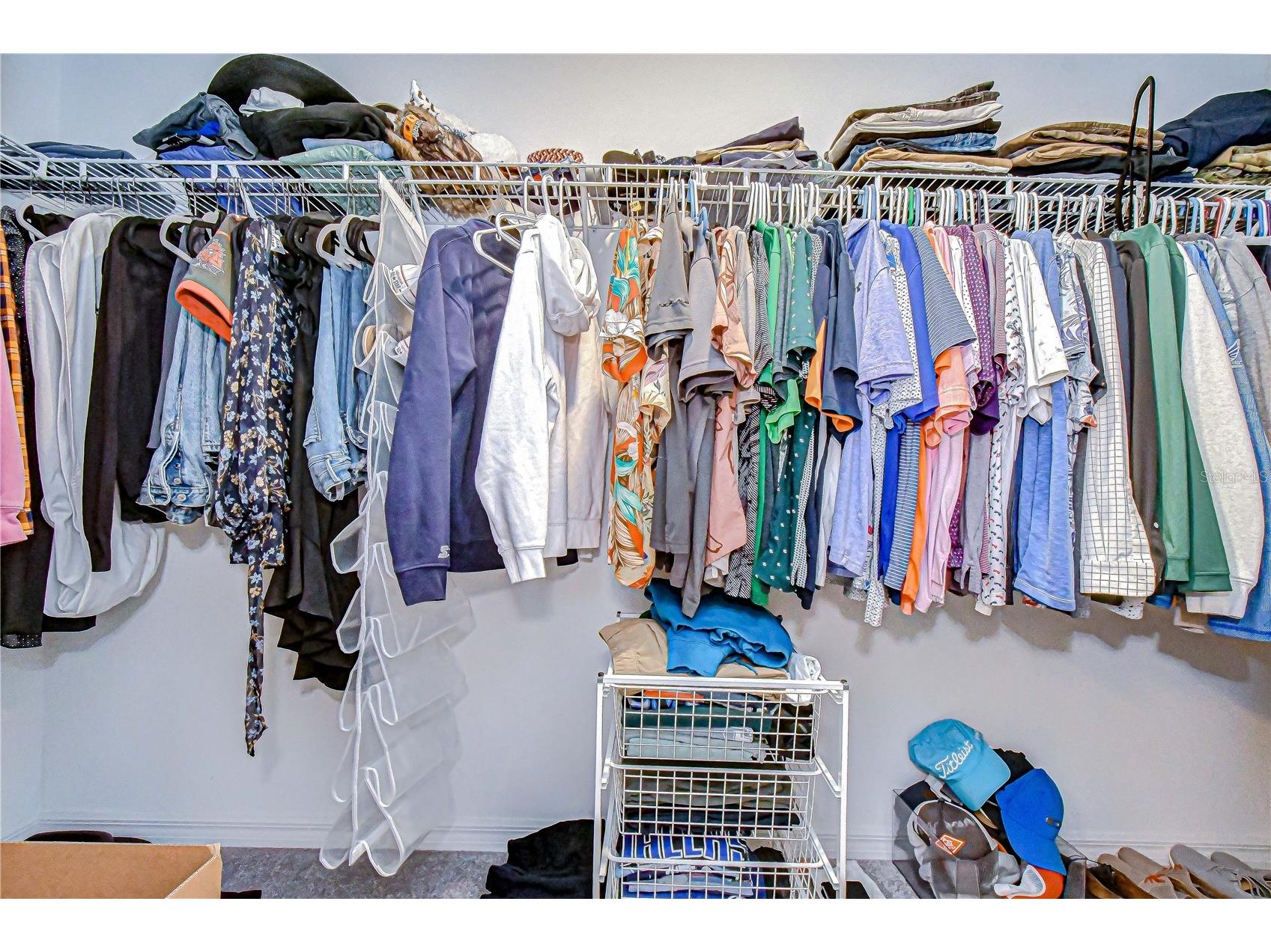 10013 Rosemary Leaf Lane Riverview FL 33578 TB8466931 image30