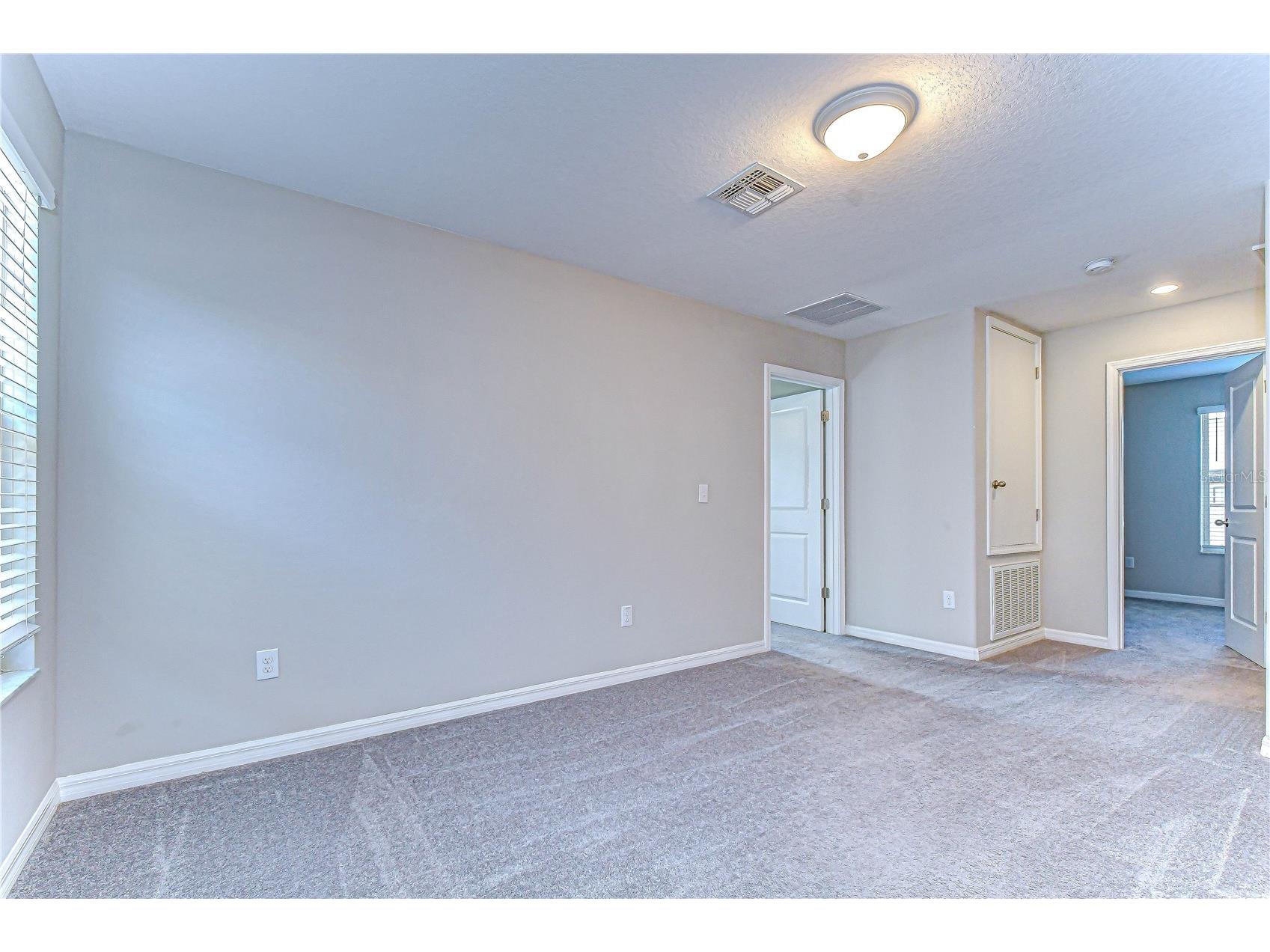 10013 Rosemary Leaf Lane Riverview FL 33578 TB8466931 image34